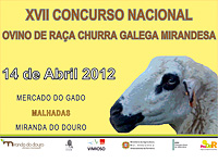 XVII Concurso Nacional de Raza Churra con ovejas Galega Mirandesa