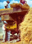 Memórias de la tierra, de l pan i de l grano