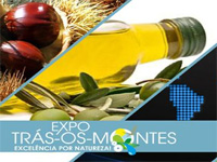 Actividades Expo Trás-os-Montes